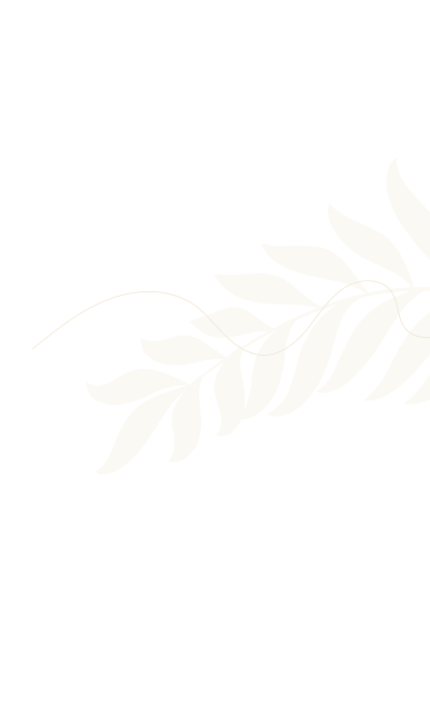 plant-leave